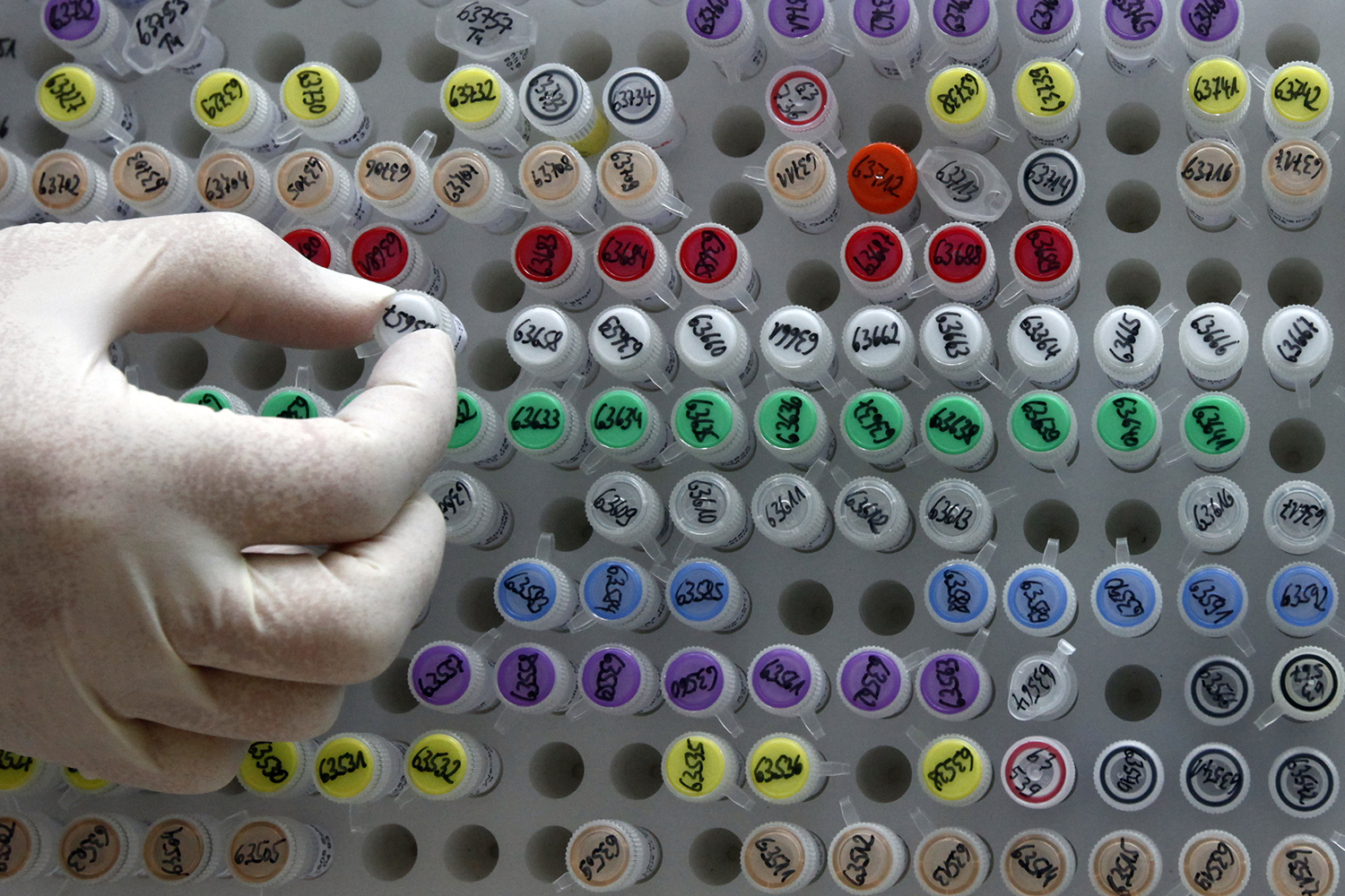 Bebés a la carta: ¿cuál es el límite de la ciencia?