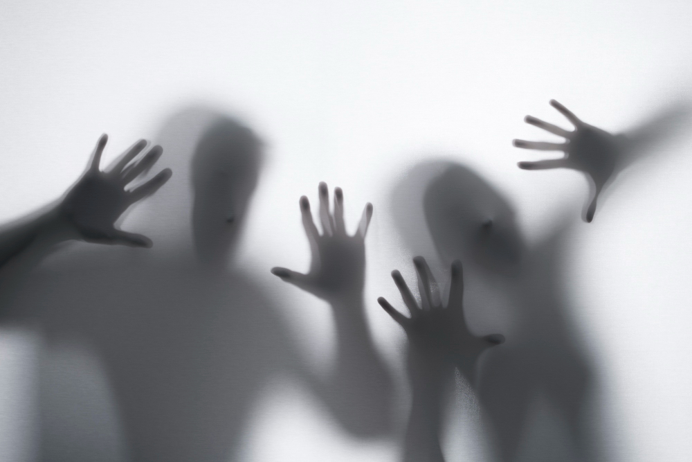 La esquizofrenia: una perspectiva integral.