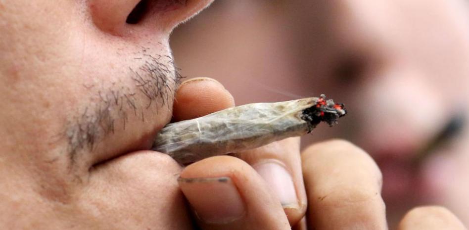 La mayoría de la marihuana que consumen los jóvenes tiene sustancias tóxicas e infecciosas