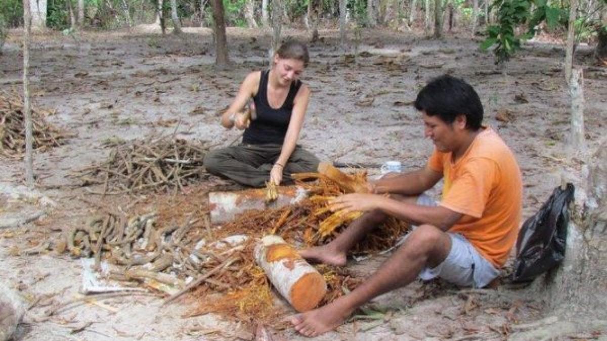 ¿Qué es la Ayahuasca? Efectos y riesgos de esta droga natural