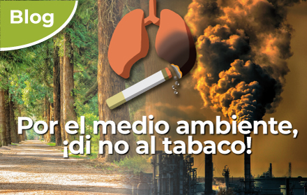 La OMS alerta sobre el impacto ambiental de la industria tabacalera