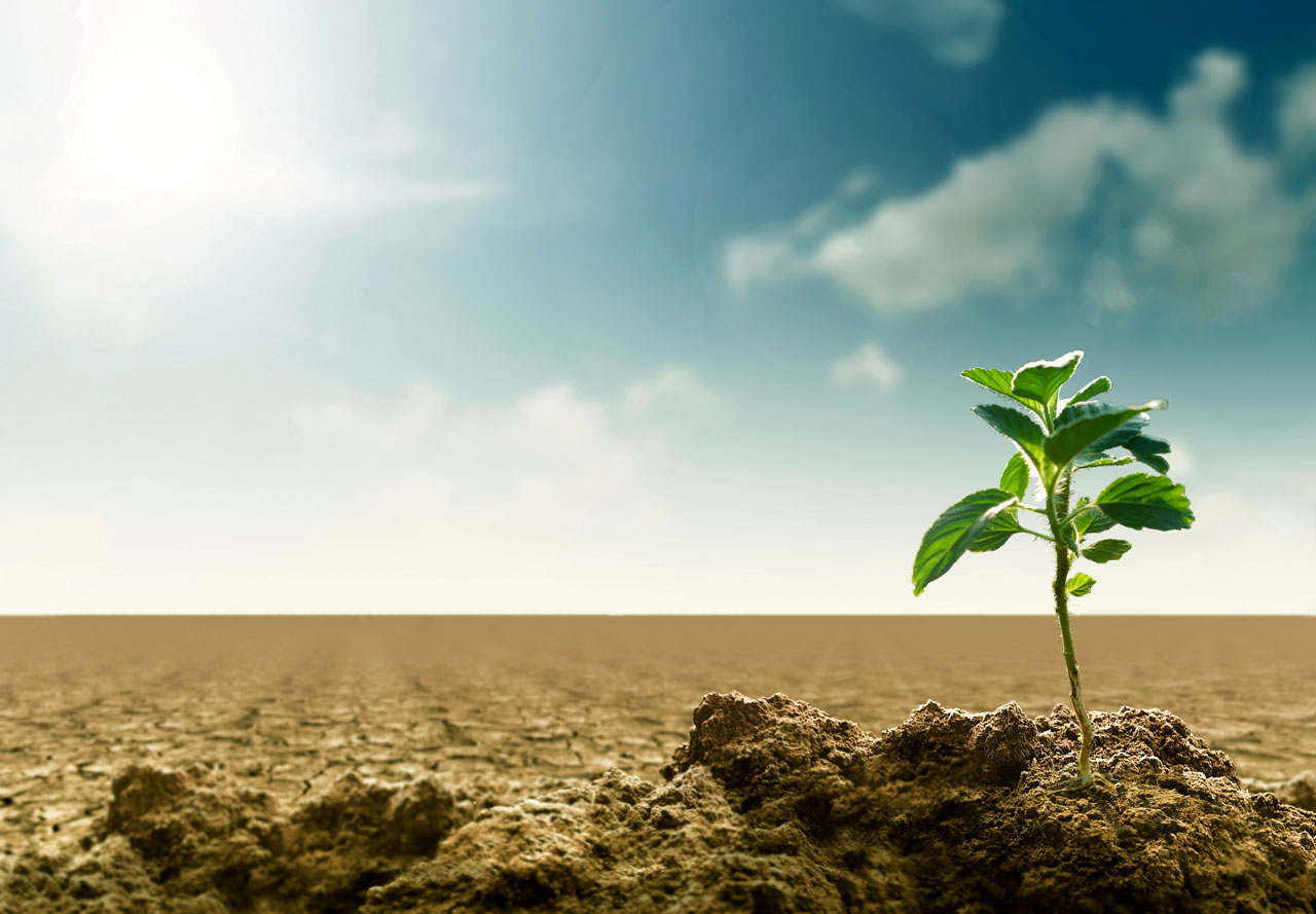 ¿Cómo el cambio climático puede afectar a nuestra salud?