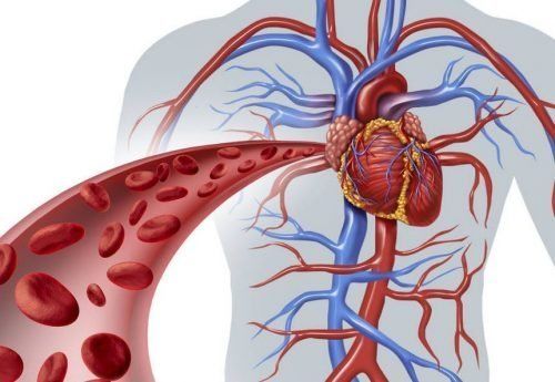 TRASTORNOS HEMODINAMICOS II