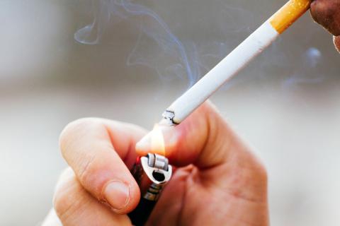 La nicotina y el tabaco