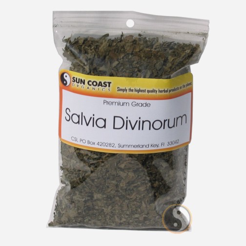 Salvia divinorum, un potente alucinógeno