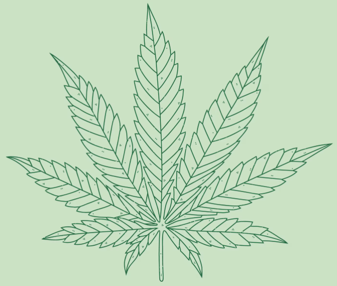 Al menos 2 muertos y 40 hospitalizados tras fumar marihuana sintética en Florida