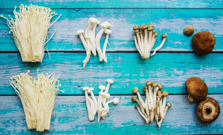 Un tratamiento con setas alucinógenas puede ayudar a tratar la adicción al alcohol