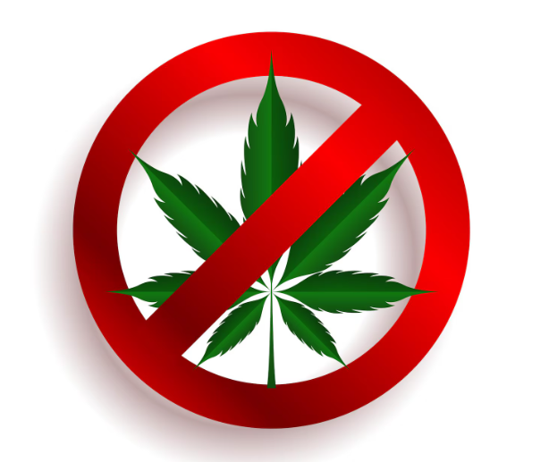 El papel clave de la ayahuasca, el veneno de sapo o el peyote en las sectas ‘new age’: “Si no te drogas, te humillan delante de todos”