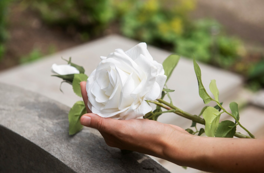 Consumo de alcohol ocasiona tres millones de muertes en el mundo: OMS