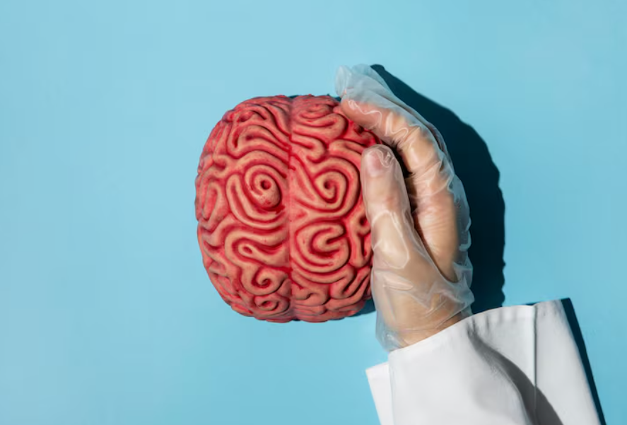 La adicción es una enfermedad del cerebro