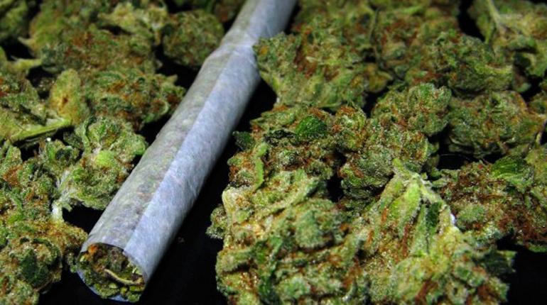 Los peligros del consumo del cannabis en jóvenes